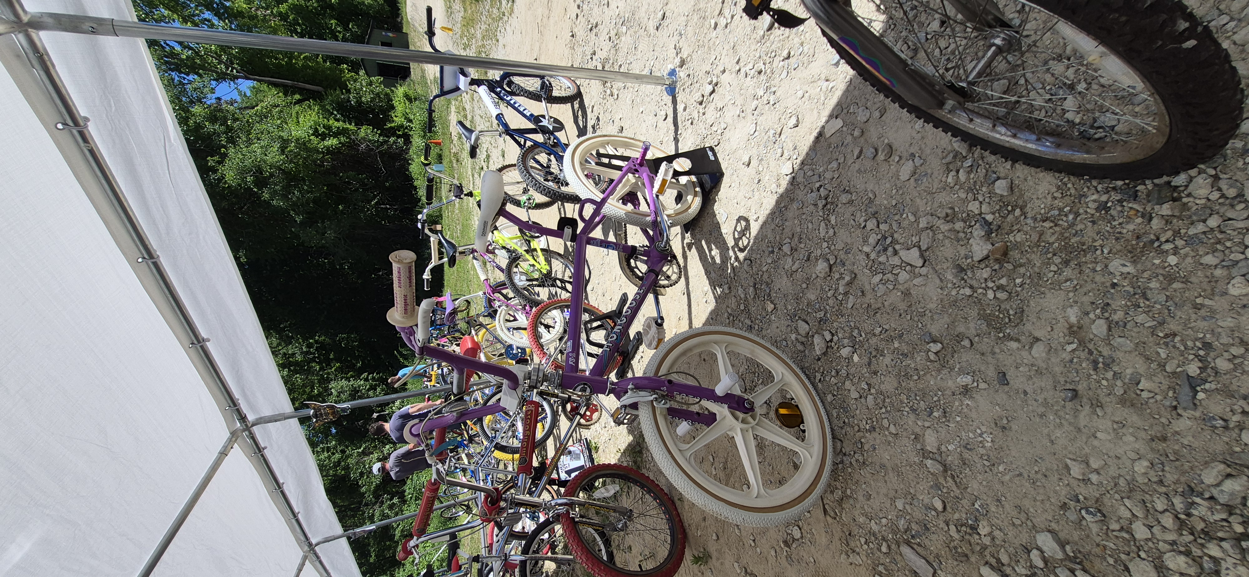 Chrome and Dirt Series photo 15